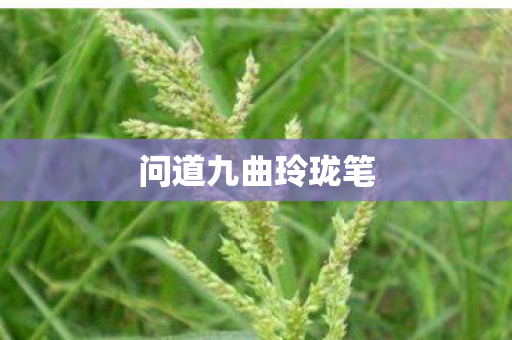 问道九曲玲珑笔图片