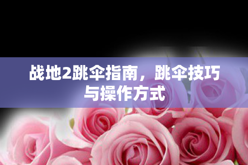 跳伞技巧与操作方式图片