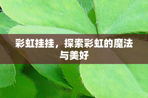 探索彩虹的魔法与美好图片