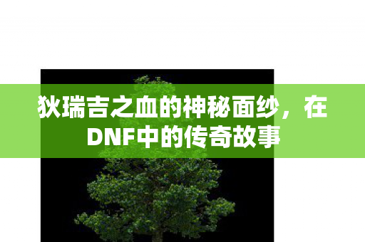 狄瑞吉之血的神秘面纱图片