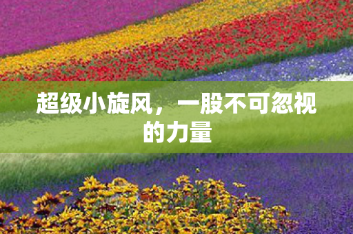一股不可忽视的力量图片