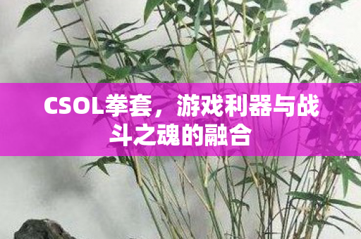 游戏利器与战斗之魂的融合图片