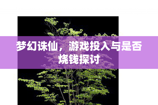游戏投入与是否烧钱探讨图片
