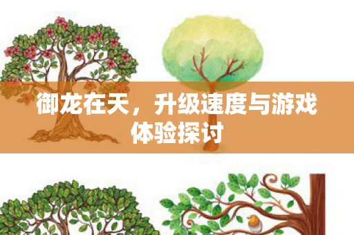 升级速度与游戏体验探讨图片