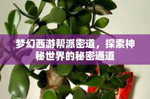 探索神秘世界的秘密通道图片
