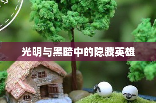 光明与黑暗中的隐藏英雄图片
