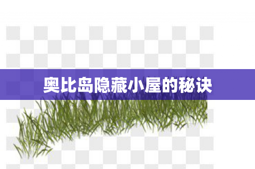 奥比岛隐藏小屋的秘诀图片