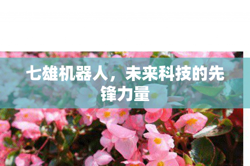 未来科技的先锋力量图片