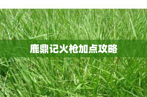 鹿鼎记火枪加点攻略图片