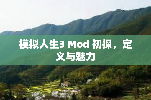 模拟人生3 Mod 初探图片