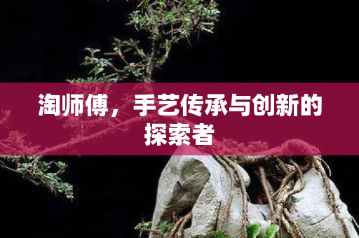 手艺传承与创新的探索者图片