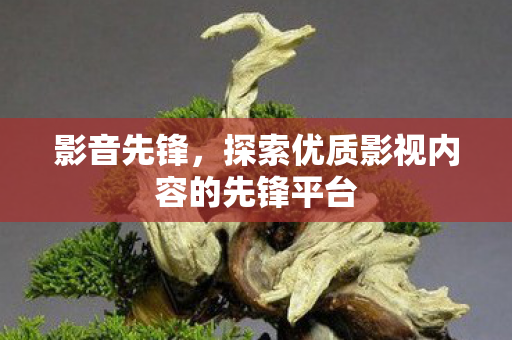 探索优质影视内容的先锋平台图片