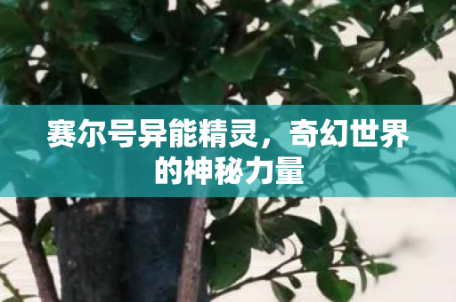 奇幻世界的神秘力量图片