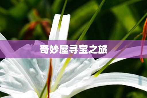 奇妙屋寻宝之旅图片