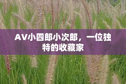 AV小四郎小次郎图片