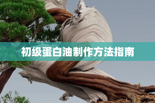 初级蛋白油制作方法指南图片