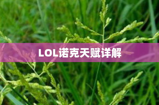 LOL诺克天赋详解图片