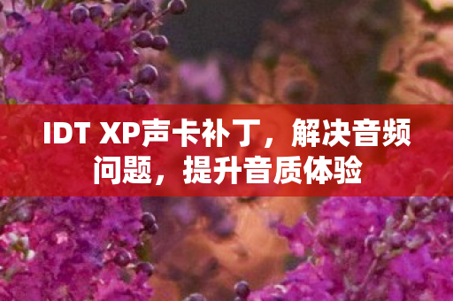 IDT XP声卡补丁图片