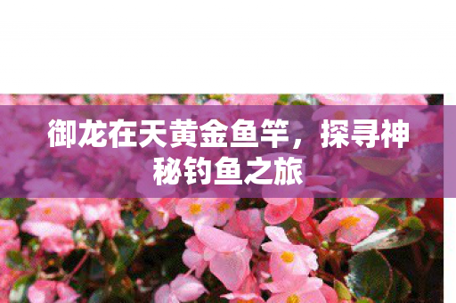 御龙在天黄金鱼竿图片