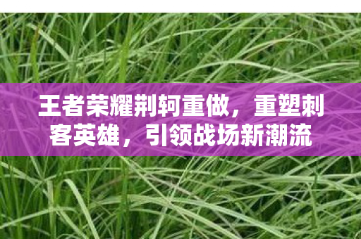 王者荣耀荆轲重做图片