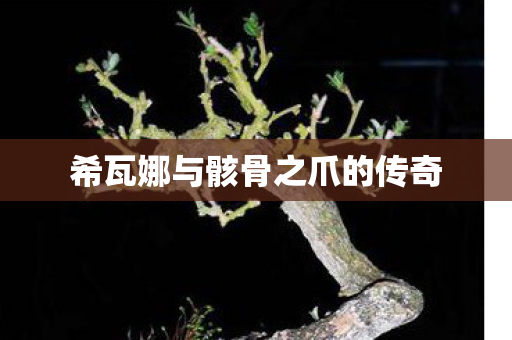 希瓦娜与骸骨之爪的传奇图片