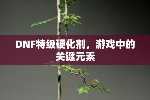 DNF特级硬化剂图片