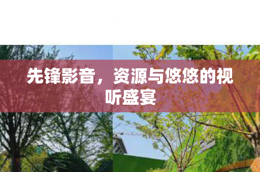 资源与悠悠的视听盛宴图片