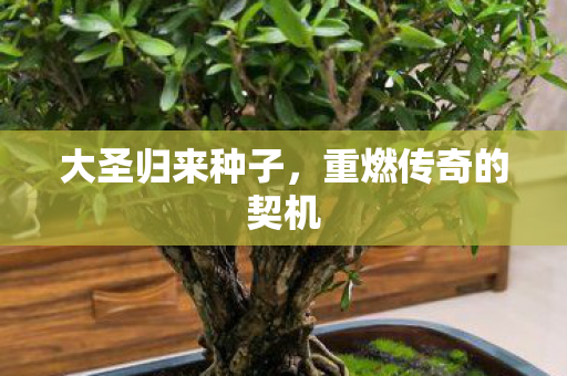 重燃传奇的契机图片