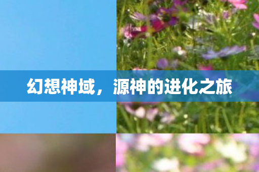 源神的进化之旅图片