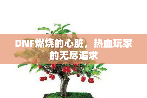 热血玩家的无尽追求图片
