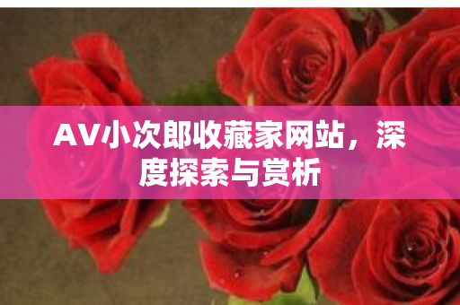 AV小次郎收藏家网站图片