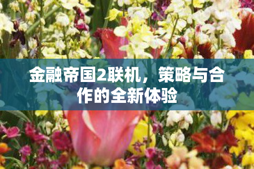 策略与合作的全新体验图片