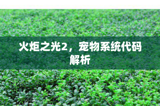 宠物系统代码解析图片