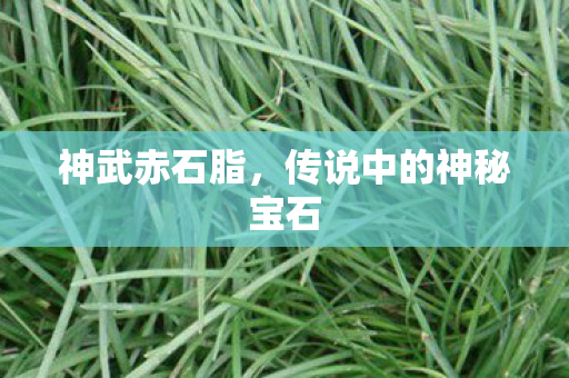 传说中的神秘宝石图片