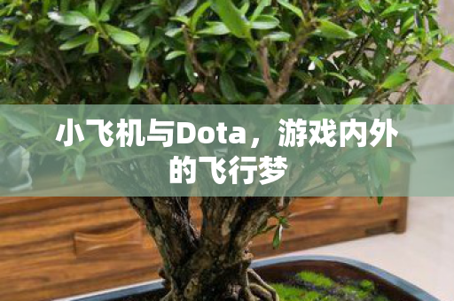 小飞机与Dota图片