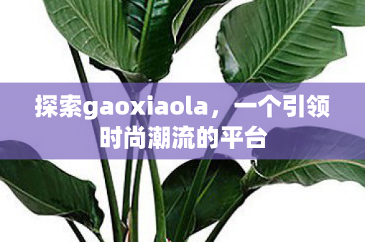 探索gaoxiaola图片