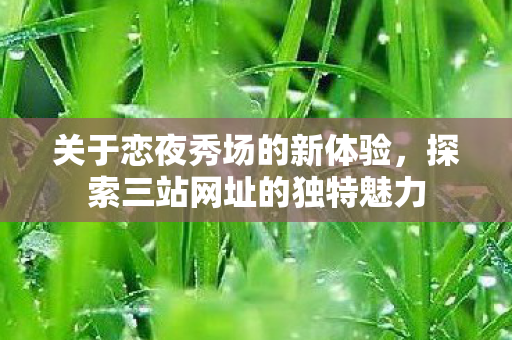 探索三站网址的独特魅力图片