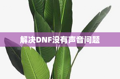 解决DNF没有声音问题图片