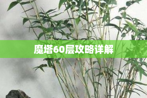 魔塔60层攻略详解图片