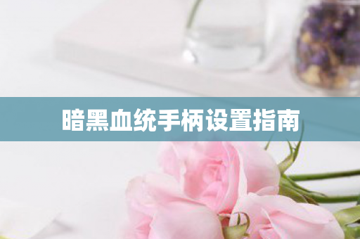 暗黑血统手柄设置指南图片