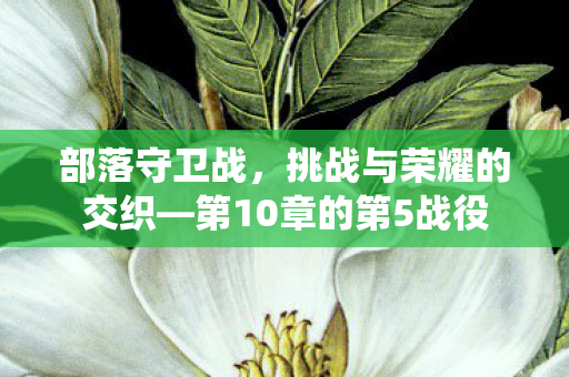第10章的第5战役图片