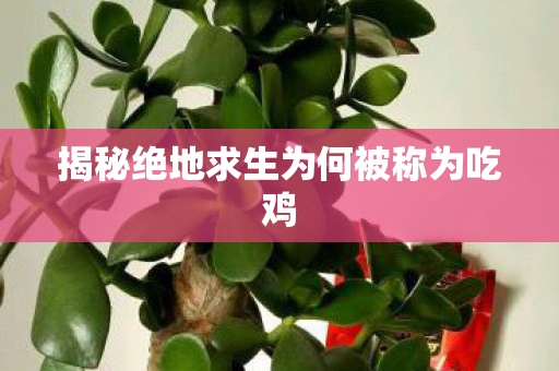 揭秘绝地求生为何被称为吃鸡图片