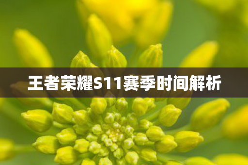 王者荣耀S11赛季时间解析图片