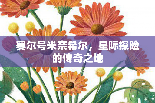 星际探险的传奇之地图片