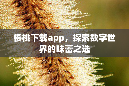 探索数字世界的味蕾之选图片