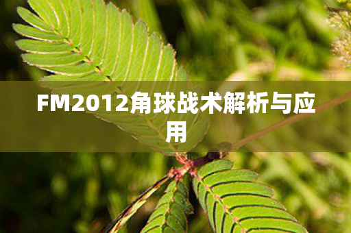 FM2012角球战术解析与应用图片