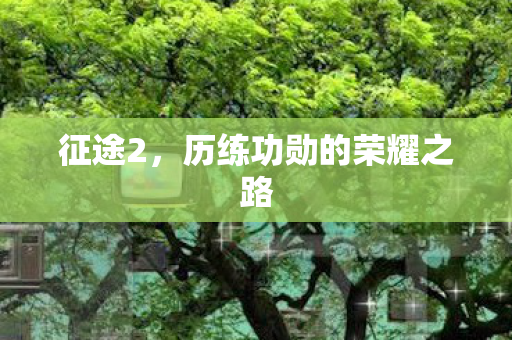 历练功勋的荣耀之路图片