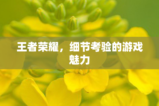 细节考验的游戏魅力图片