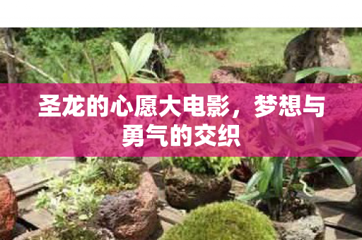 圣龙的心愿大电影图片