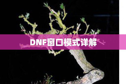 DNF窗口模式详解图片
